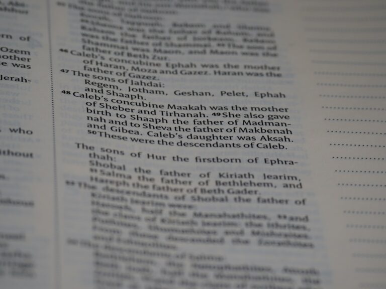 The History and Evolution of Haberdashery Over the Years